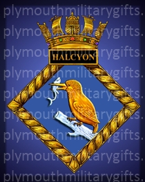 HMS Halcyon Magnet